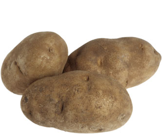 russet potato